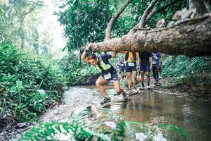 BIB: 
                            <button type="button" onclick="openModal(25455458)" class="btn btn-primary btn-sm float-right btn-popup" data-toggle="modal" data-target=".modal-high-quality">
                        <i class="fas fa-shopping-cart"></i> Add to Cart
                    </button>
                                            <button type="button" onclick="isThisMe(25455458, true)" class="btn btn-success btn-sm float-right btn-popup btn-isme hidden" data-toggle="tooltip" data-placement="bottom" title="นี่คือรูปของคุณใช่ไหม คลิกที่นี่เพื่อเอาเข้าอัลบั้ม">
                        <i class="fas fa-plus"></i> Add to album
                    </button>
                    <button type="button" onclick="isThisMe(25455458, false)" class="btn btn-warning btn-sm float-right btn-popup btn-isnotme hidden">
                        <i class="fas fa-ban"></i> Remove from album
                    </button>